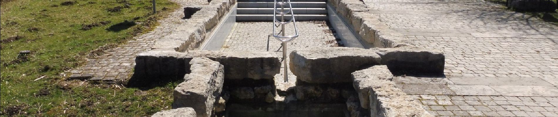 Tour Zu Fuß Treuchtlingen - Streuobst-Erlebnis-Weg - Photo