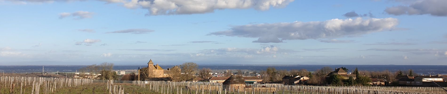 Tour Wandern Charnay-lès-Mâcon - Levigny Salornay - Photo