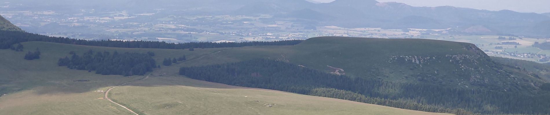 Excursión Senderismo Saulzet-le-Froid - Puy de la Tâche  - Photo