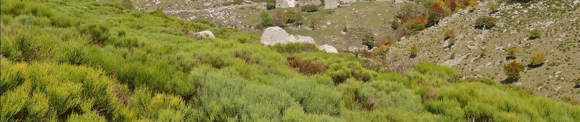 Tocht Stappen Génolhac - Les Bouzèdes - Photo