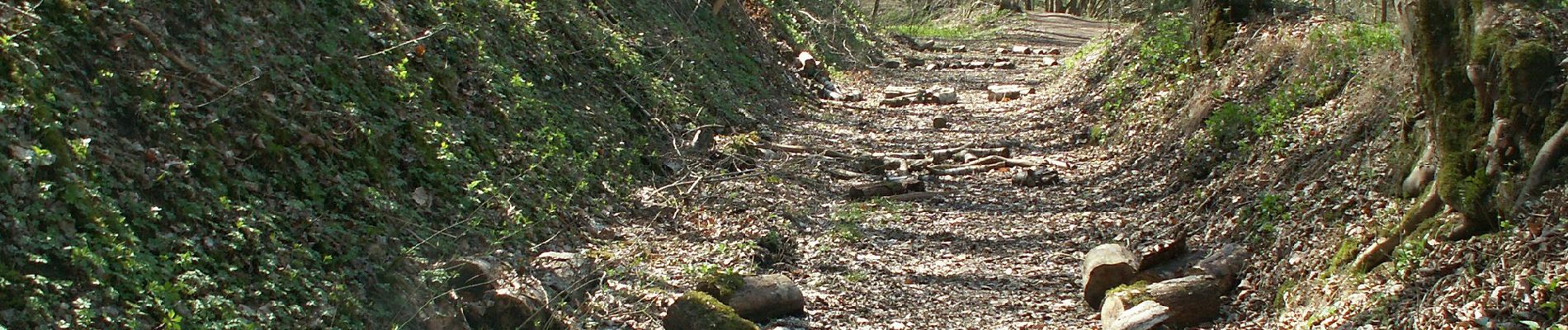 Randonnée A pied La Calamine - Rundweg Hohnbachtal - Photo