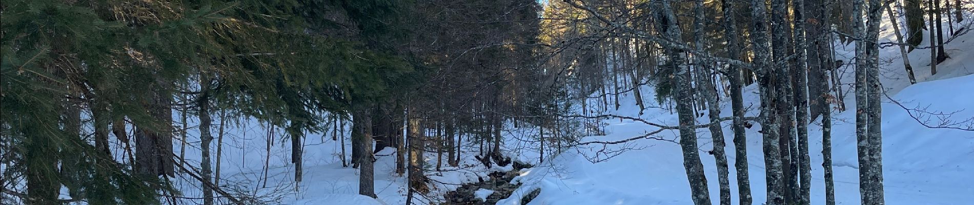 Tour Schneeschuhwandern Bellefontaine - Bellefontaine,roche devant, les Gentianes - Photo