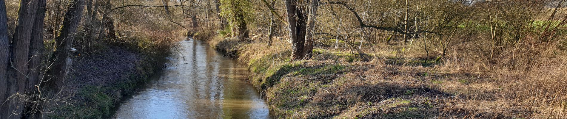 Tocht Stappen Waver - Wavre Downtown - Photo