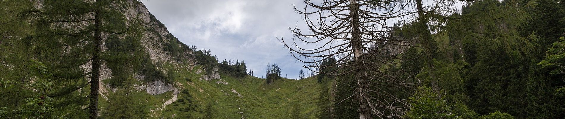 Tour Zu Fuß Rosenau am Hengstpaß - Wanderweg 39 - Photo