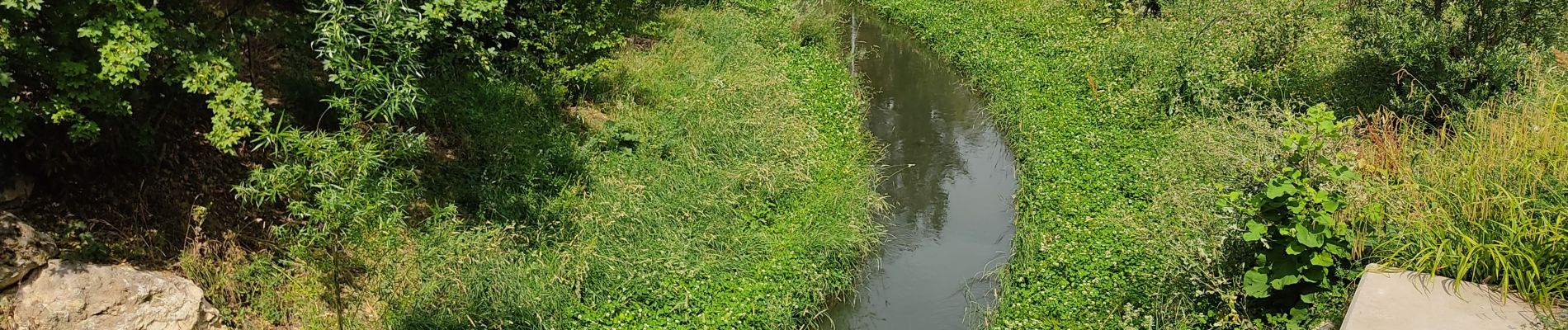 Randonnée Marche Bagneux - Arcueil Cachan - Photo