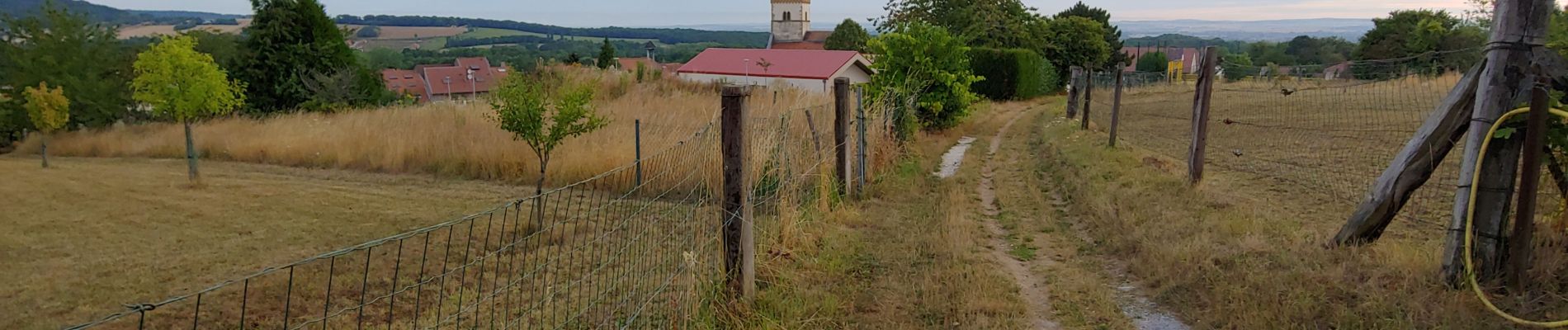 Tour Wandern Saulny - lorry - Photo