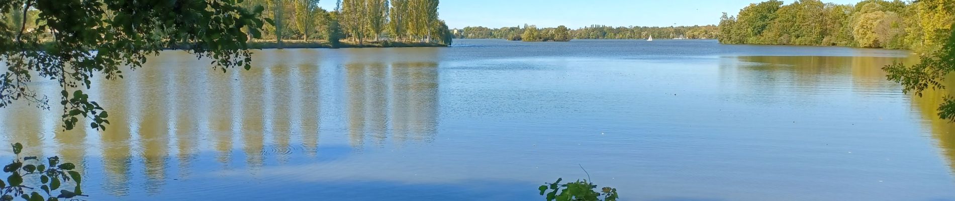 Randonnée Marche Mézières-en-Drouais - rando du 9 /10/22 - Photo