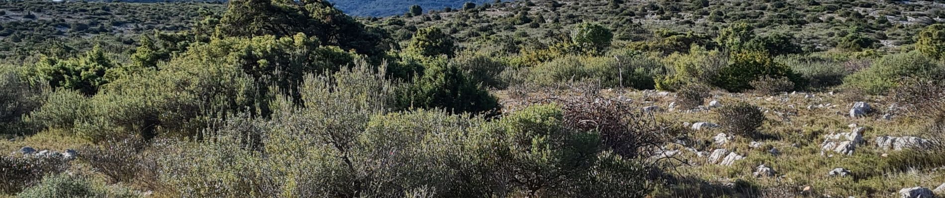 Tour Wandern Feuilla - Feuilla ( aude )Pech del Touch ou de l Ayre .A/R - Photo