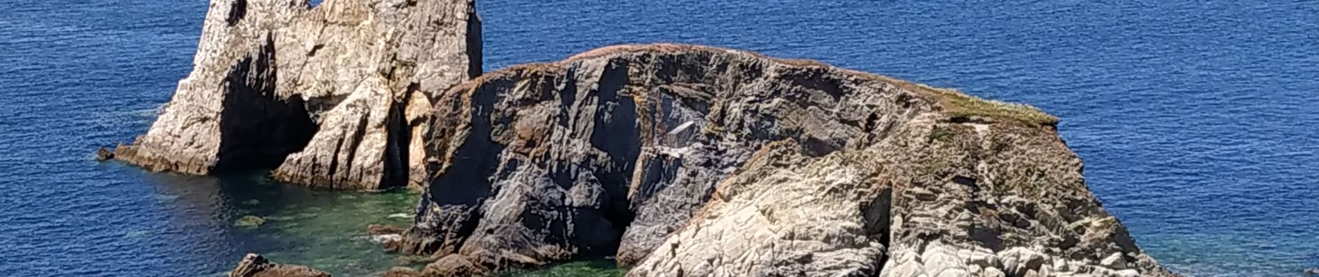 Tour Wandern Camaret-sur-Mer - Camaret Pen Hir 11-07-2019 - Photo