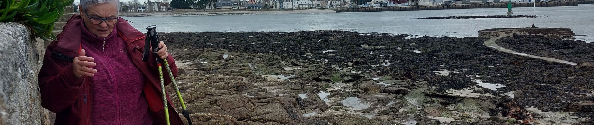 Excursión Senderismo Île-Tudy - 20231115 Île Tudi - Photo