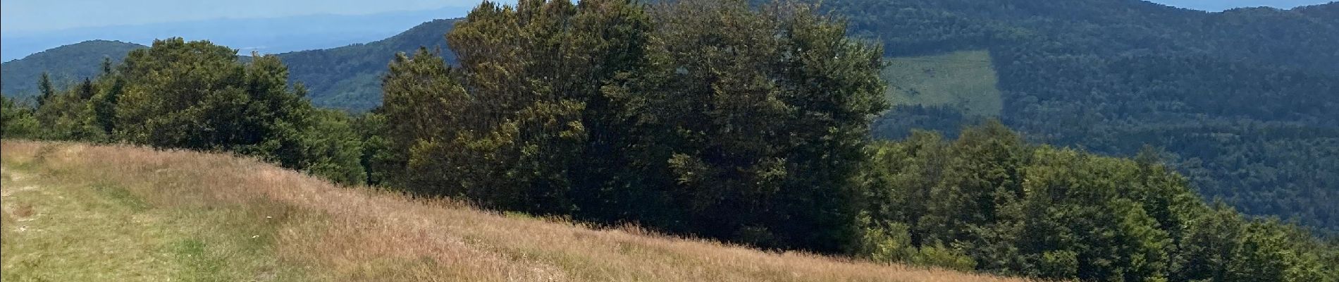 Percorso Marcia Soultz-Haut-Rhin - Autour de Grand Ballon - Photo