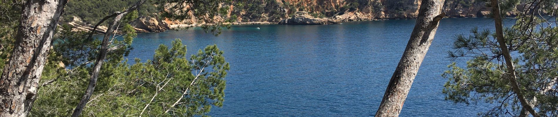 Tocht  Saint-Cyr-sur-Mer - Sentier du littoral et des vigne - Photo