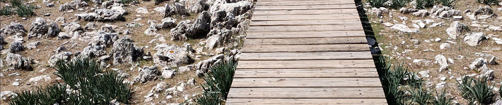 Tocht Stappen Almuñécar - Loja - Passerelle mirador de Karts -  Ruta de Cabras - Photo