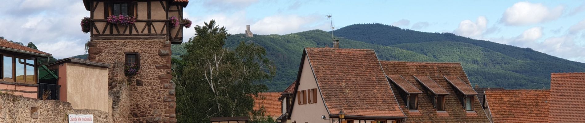 Tour Wandern Kestenholz - Le Hahnenberg et les balcons de Sélestat - Photo