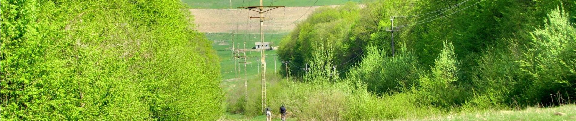 Randonnée A pied Sângeorgiu de Mureș - Dealul Nou - Vf. Terebici - drumul spre Poienița - Photo