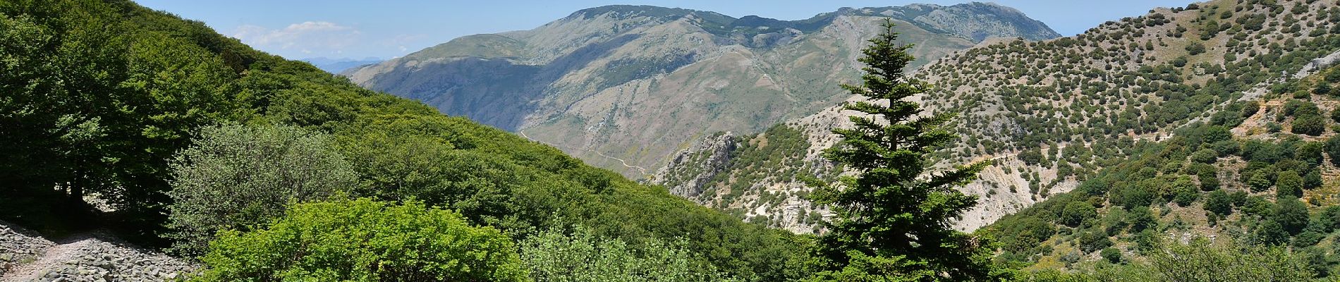 Tour Zu Fuß Petralia Sottana - Pomieri - Polizzi Generosa - Photo