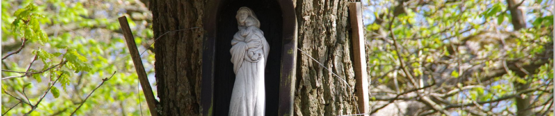 Punto de interés Fleurines - le chêne à l'mage - Photo