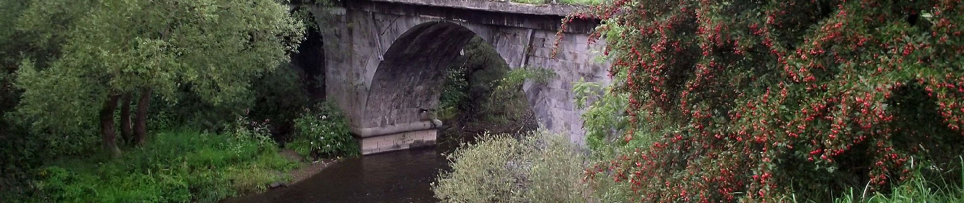 Randonnée A pied Viroinval - Les Bornes Frontières - Photo