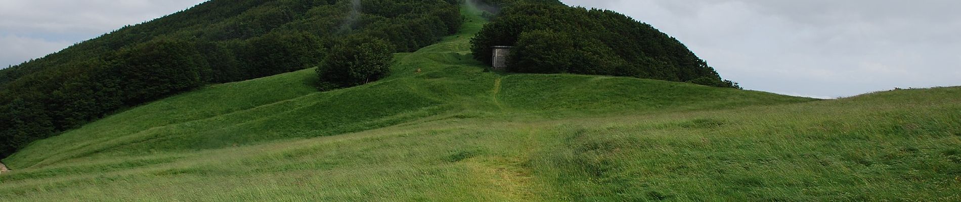 Randonnée A pied Pratovecchio Stia - Sul tetto dell’Appennino dove gli alberi toccano il cielo - Photo