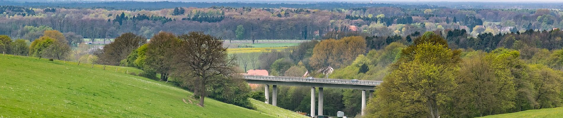 Tour Zu Fuß Schlangen - Rundwanderweg S (Rund um Schlangen) [Schlangen] - Photo