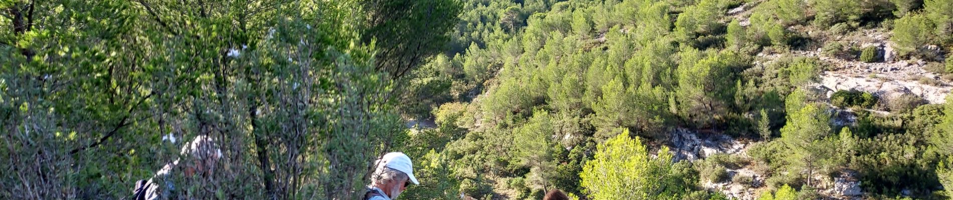 Excursión Senderismo Marsella - Calanque d'en Vau - Photo