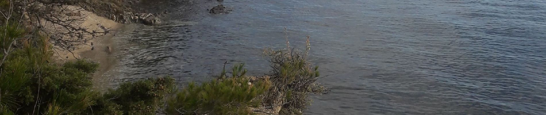 Tocht Stappen Hyères - Gien - La Badine - Photo