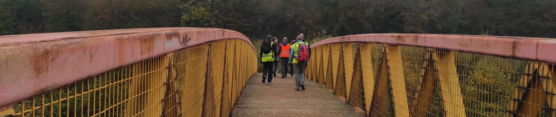 Tocht Stappen Laxou - Audax Laxou Octobre rose - Photo