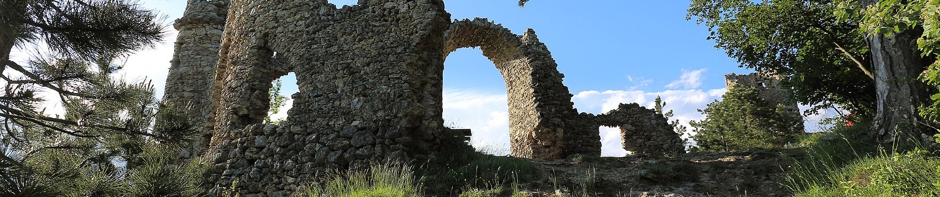 Tocht Te voet Gemeinde Wartmannstetten - Gleißenfeld - Wartmannstetten - Photo
