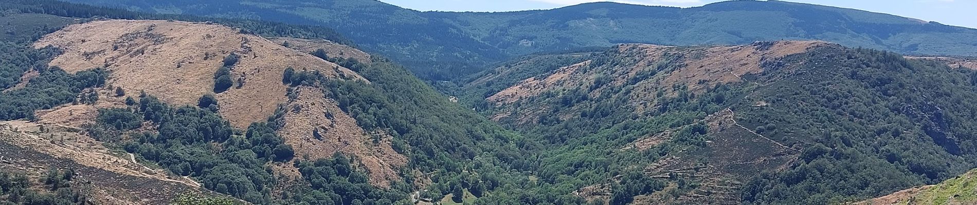 Trail Walking Mont Lozère et Goulet - Etape 6 le Bleymard  / Pont Montvert - Photo