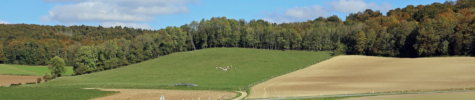 Tour Zu Fuß Grandcourt - A la Découverte de la Forêt d'Eu - Photo