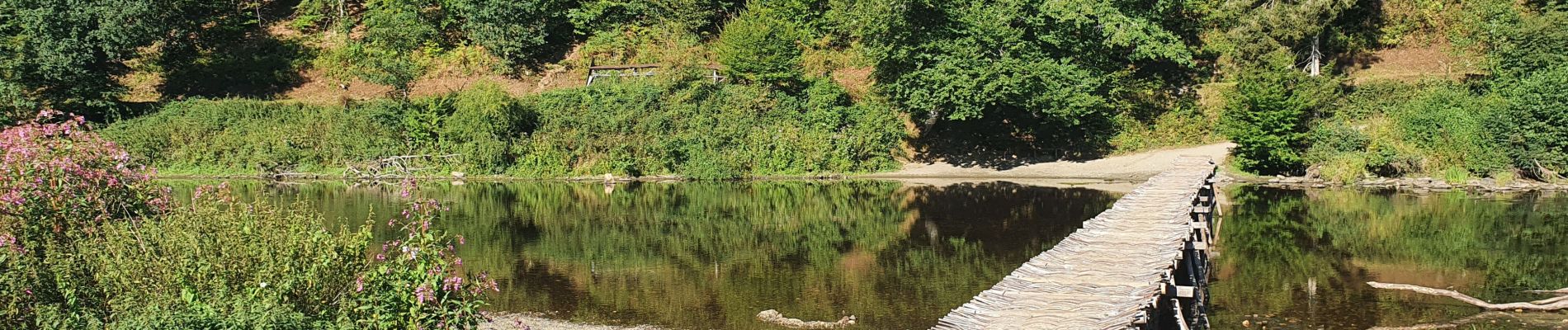 Tocht Stappen Vresse-sur-Semois - rando vresse 24 -08-2022 - Photo