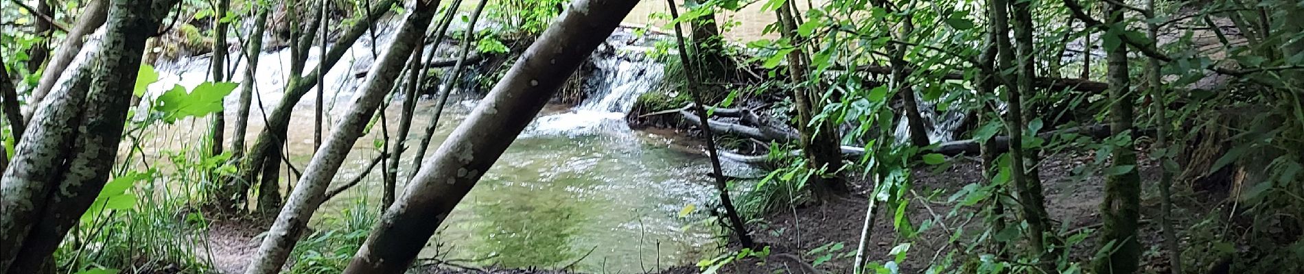 Tour Wandern Florenville - Orval Williers - Photo