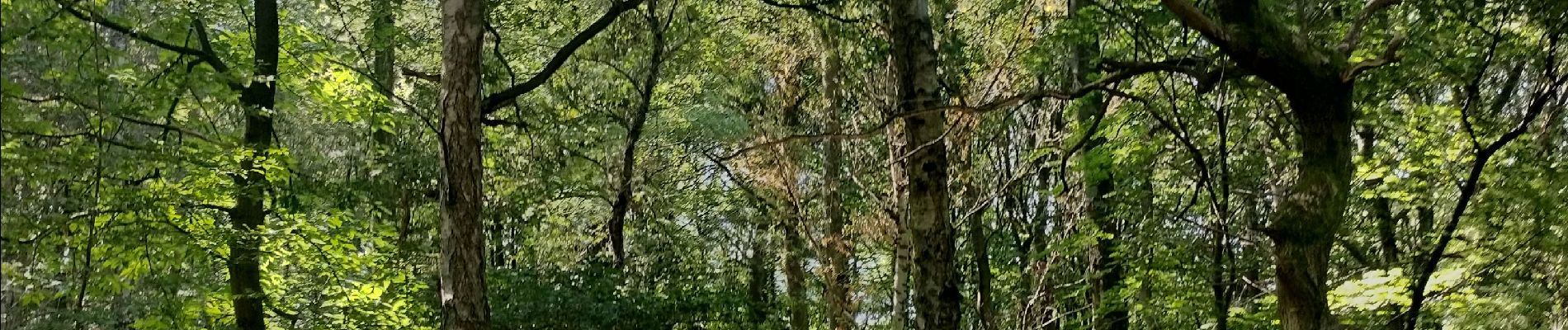 Tocht Stappen Luik - Sur les hauteurs de Streupa - Photo