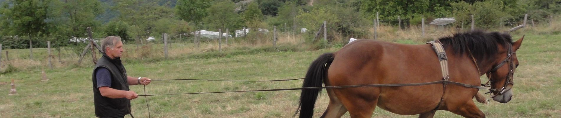 Percorso A piedi Orbeil - Le Domaine de Vort - Photo