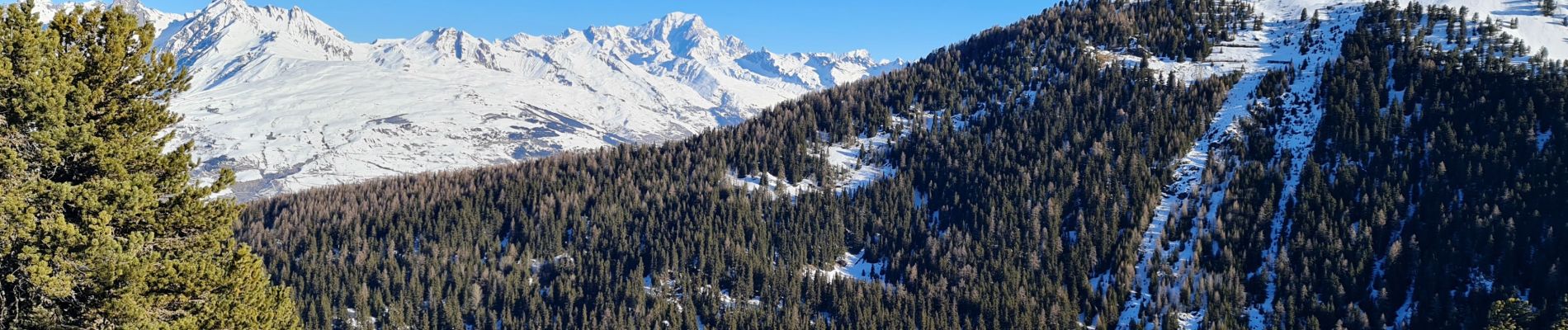 Randonnée Raquettes à neige La Plagne-Tarentaise - Bellecôte, Plagne Soleil, Centre, 1800 - Photo