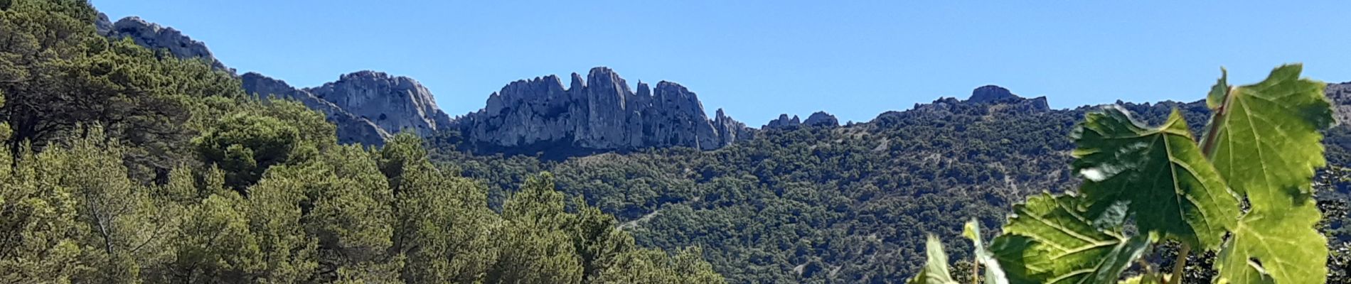 Randonnée Marche Gigondas - Gigondas : Pas de l'Aigle - Photo