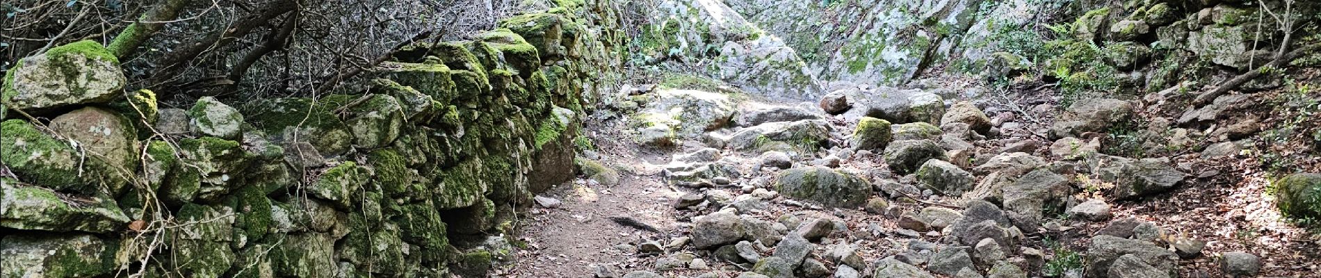 Trail Walking Serra-di-Ferro - Serra di Ferro, plage de Cupabia A/R - Photo