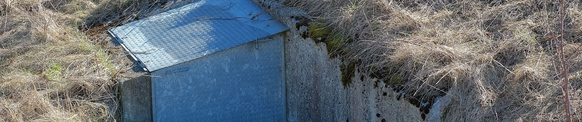 Percorso A piedi Hirschau - Hölzlmühlweg - Photo