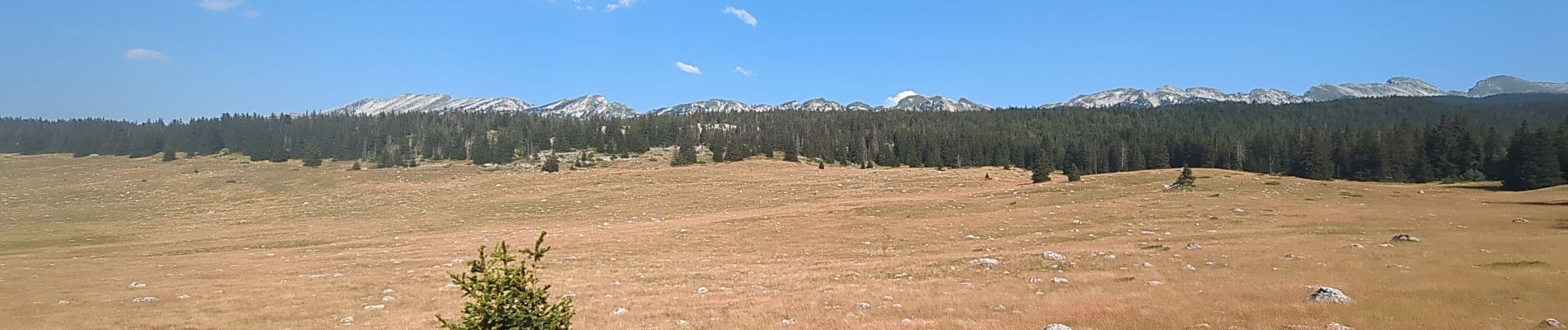 Trail Walking Saint-Agnan-en-Vercors - Rocher de la Peyrouse - Photo