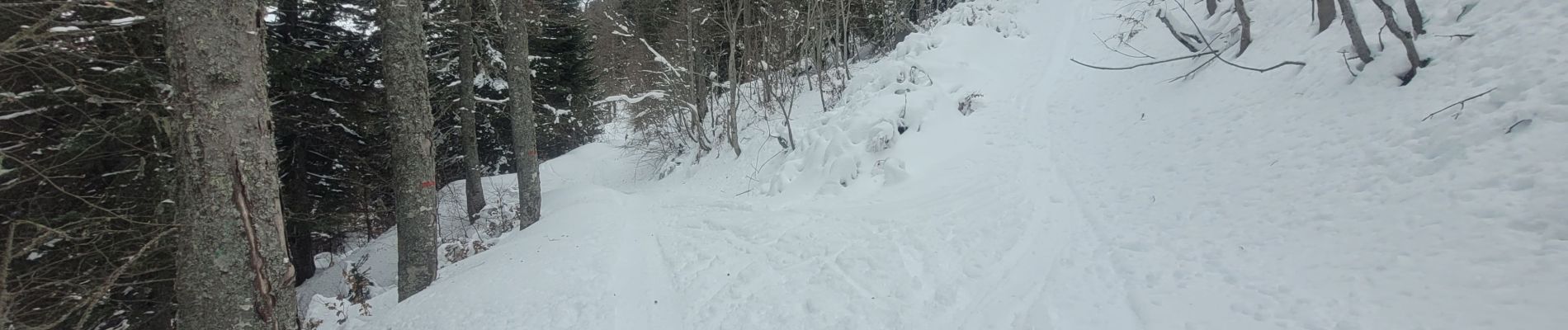 Randonnée Ski de randonnée Proveysieux - 140124 Mont Fromage - Photo