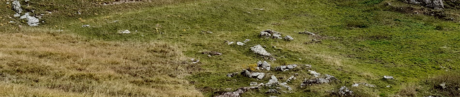 Randonnée Marche Mieussy - CHABLAIS: COLS CHALUNE - VESINAZ - Photo