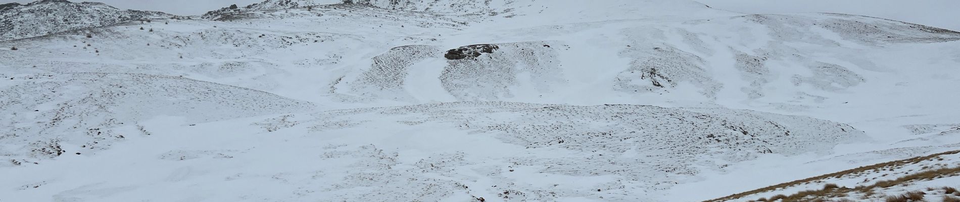 Randonnée Raquettes à neige Saint-Dalmas-le-Selvage - Col de l’Escuzier - Photo