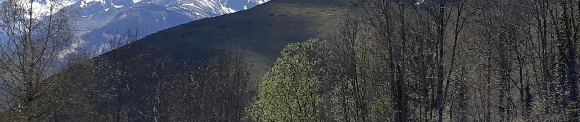 Trail Walking Gaillagos - GAILLAGOS Col de Couret Couraduque en boucle G3 du 21/04/2023