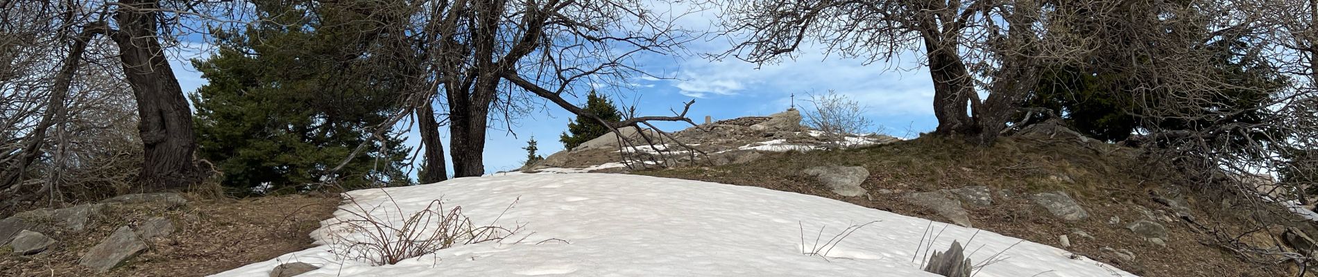 Trail Walking Bairols - Pointe des 4 Cantons  - Photo