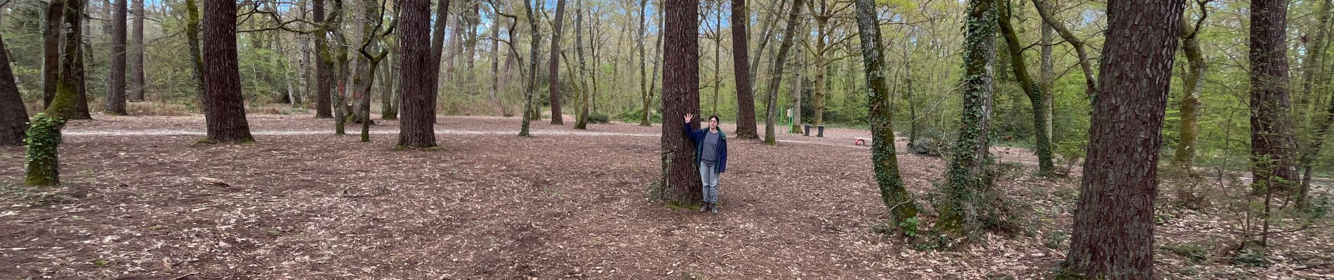 Trail  Mérignac - Mérignac Parc du Château  - Photo