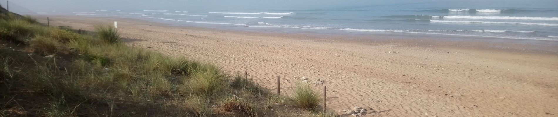 Trail Walking Les Sables-d'Olonne - forêt D'olonne  - Photo