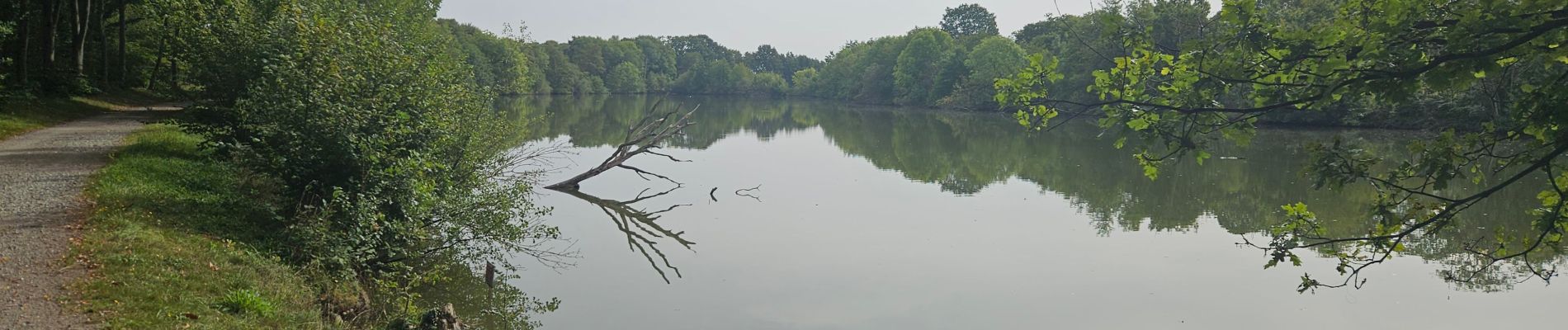 Tour Elektrofahrrad Hédé-Bazouges - Hédé à Rennes - Photo