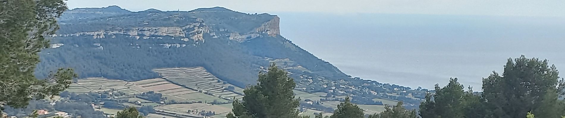 Tocht Stappen Cassis - Mont Gibaou - Photo