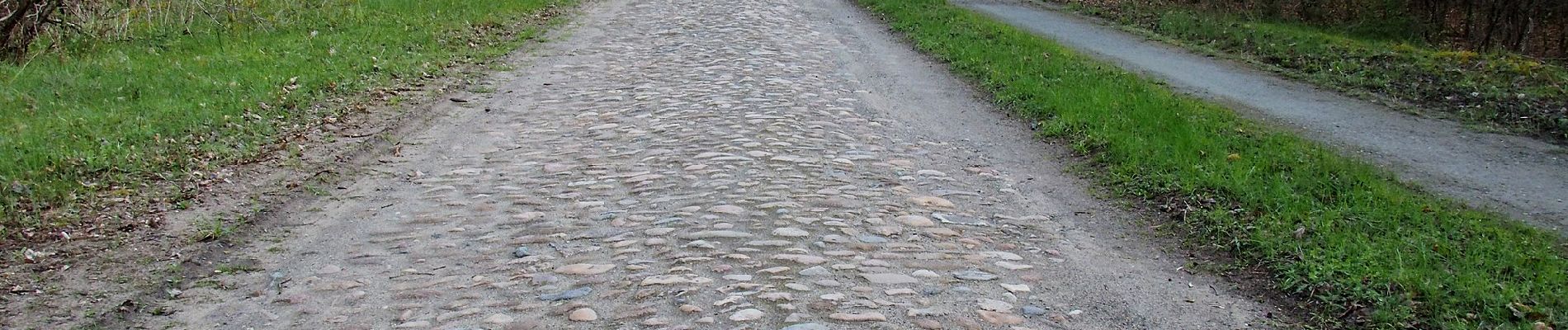 Randonnée A pied Südheide - Südheide 'Gauß'scher Vermessungspunkt im Bergland der Südheide' W7m (mittlere Tour) - Photo