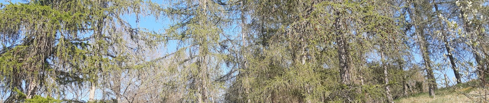 Randonnée Marche Trooz - autour de Prayon (si on m avait dit ...) - Photo